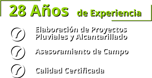 experiencia experiencia